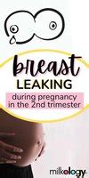 breast leaking during pregnancy 2nd trimester|Understanding The Timing Of Breast Leaking During Pregnancy